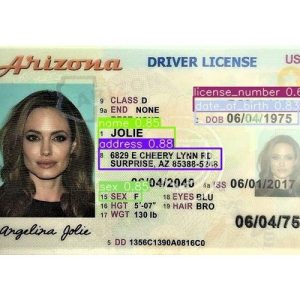US Driver License